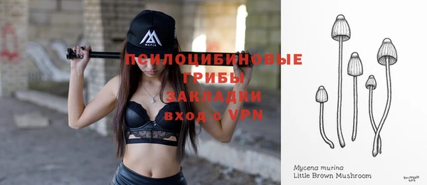 соль ск Магас